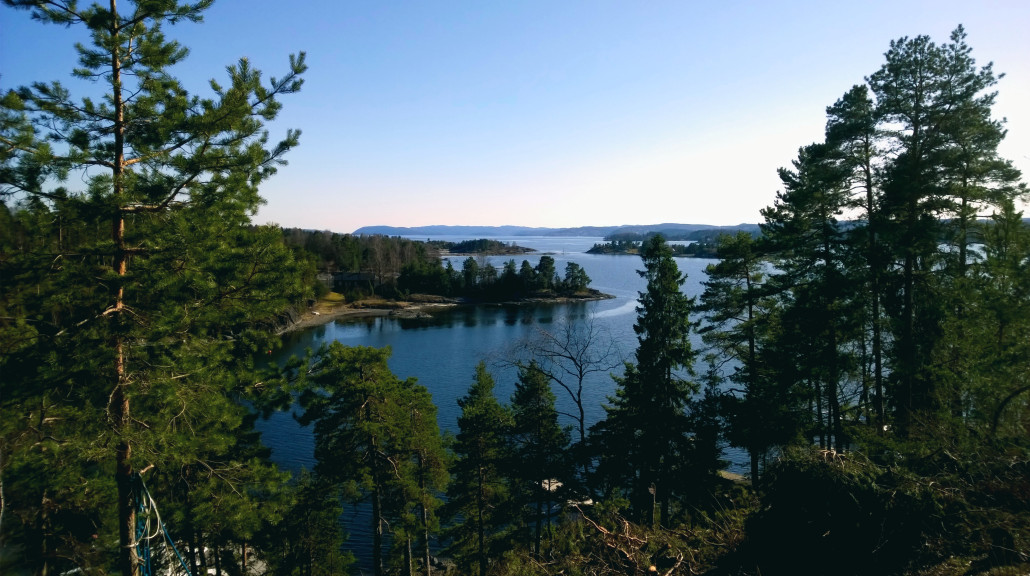 Brønnøya. Foto: Henning Klokkeråsen