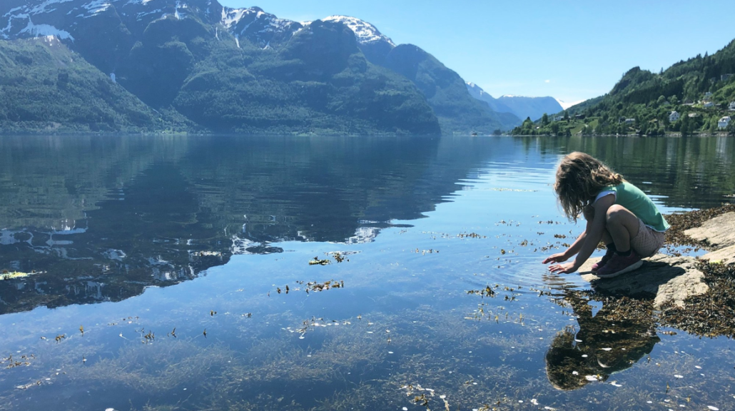 Sognefjorden i sol