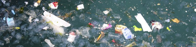 Uttalelse fra Venstres landsmøte 2018: Det trengs styrket innsats mot plast i havet