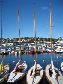  Jan Einar Henriksen (V) mente båtplassene var dyre nok og det var bystyrets flertall enige i