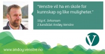 Stig Johansen annonse