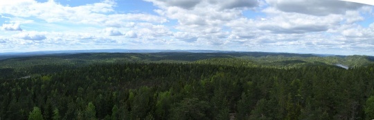  - Østmarkas indre deler er det eneste skogsområdet på Østlandet som er så uberørt og har så store verneverdier at det egner seg som nasjonalpark, sier Elvestuen. 