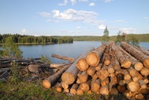  Det drives ikke mye skogdrift i kommuneskogene i dag, og grunneiere får full erstatning, sier Pedersen.
